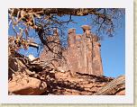 248. roccia arbusti * 2272 x 1704 * (2.24MB)